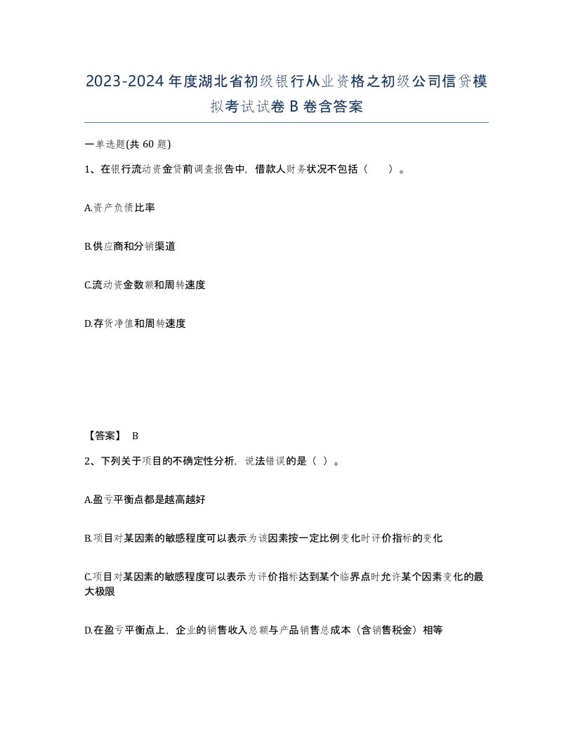 2023-2024年度湖北省初级银行从业资格之初级公司信贷模拟考试试卷B卷含答案