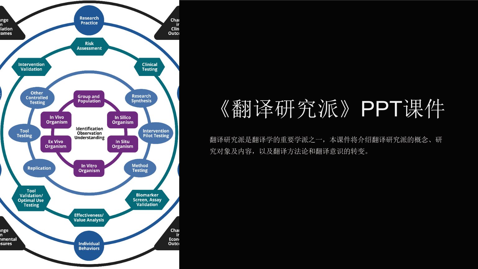 《翻译研究派》课件