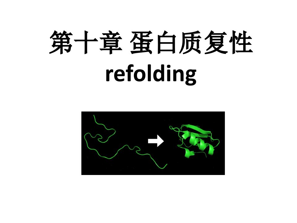 《蛋白质复性》PPT课件