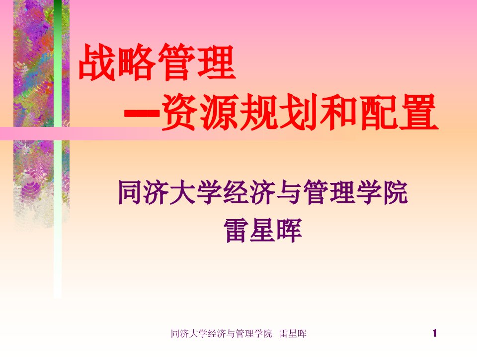 第八章资源规划和配置(战略管理-同济大学,雷星晖)