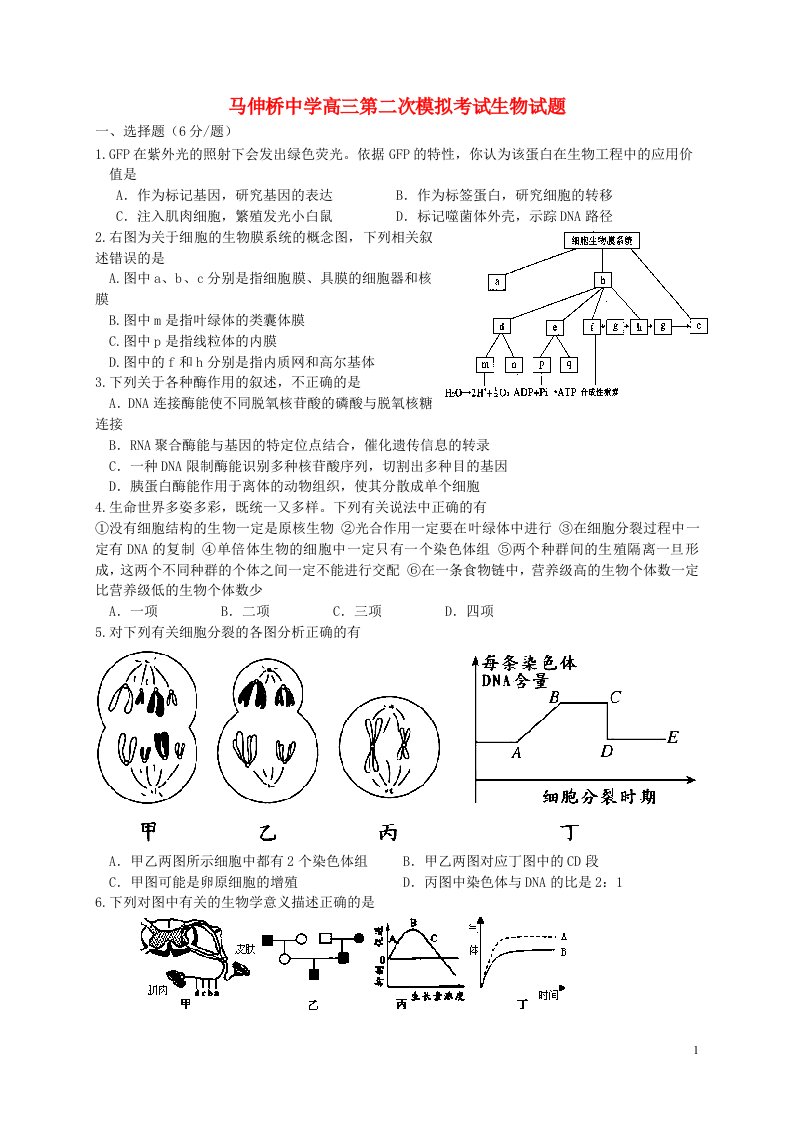 天津市蓟县马伸桥中学高三生物第二次模拟考试试题新人教版