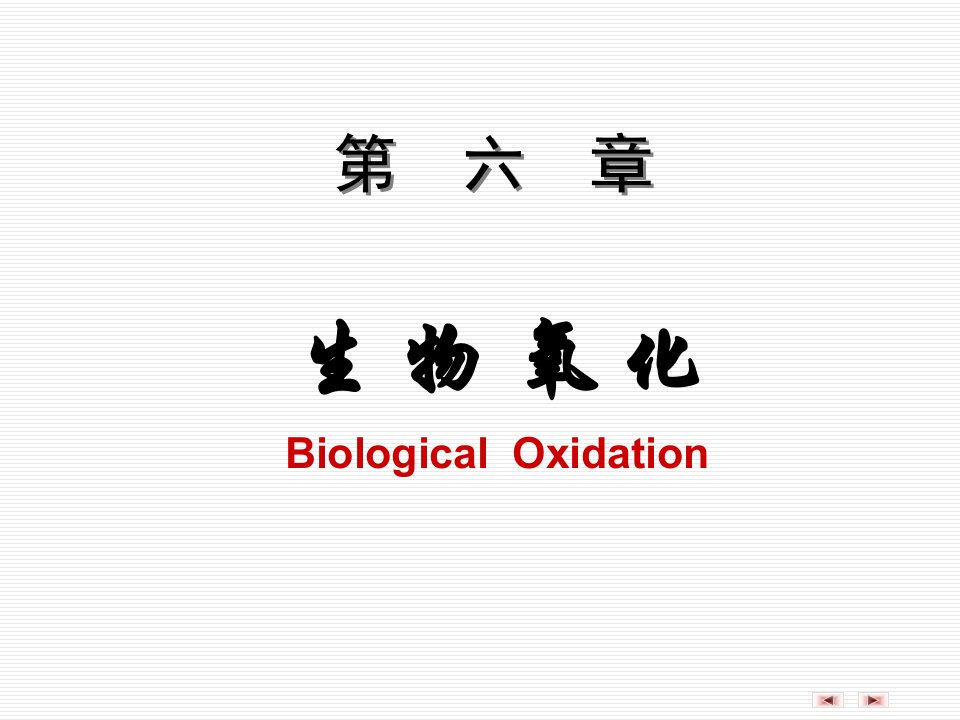 第06章生物氧化1课件