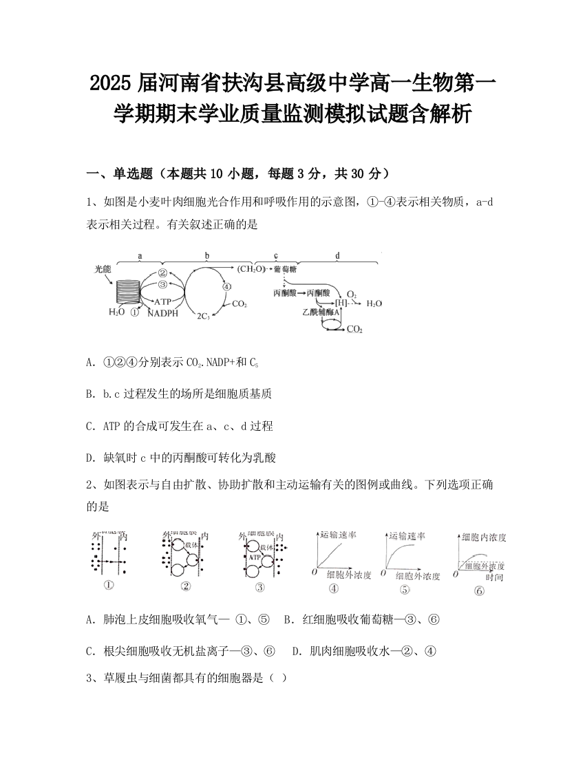 2025届河南省扶沟县高级中学高一生物第一学期期末学业质量监测模拟试题含解析