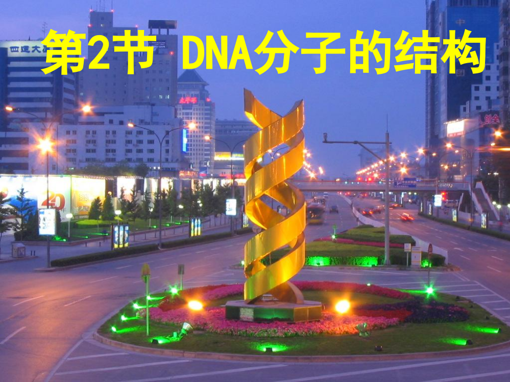 (完整版)DNA分子的结构计算全部