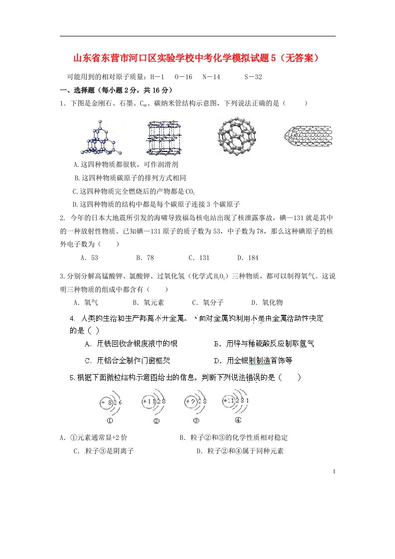 山东省东营市河口区实验学校中考化学模拟试题5（无答案）