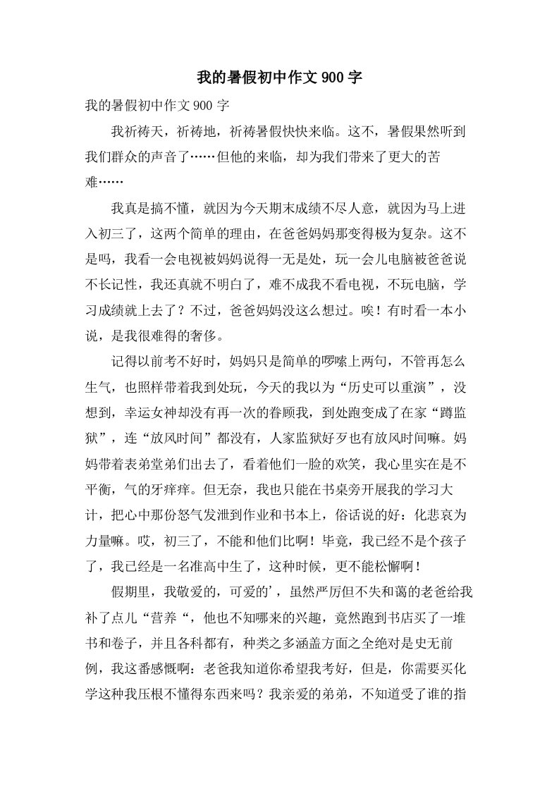 我的暑假初中作文900字