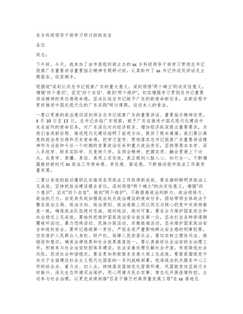 在乡科级领导干部学习研讨班的发言