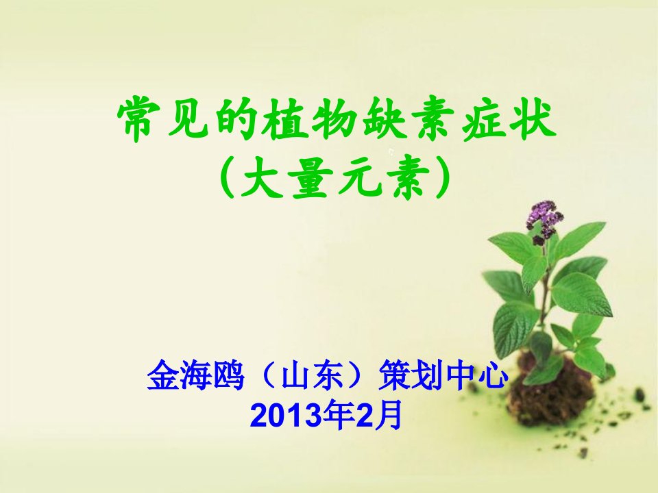 常见的植物缺素症状(大量元素)-12种营养元素-烟台众邦生物科技有限公司