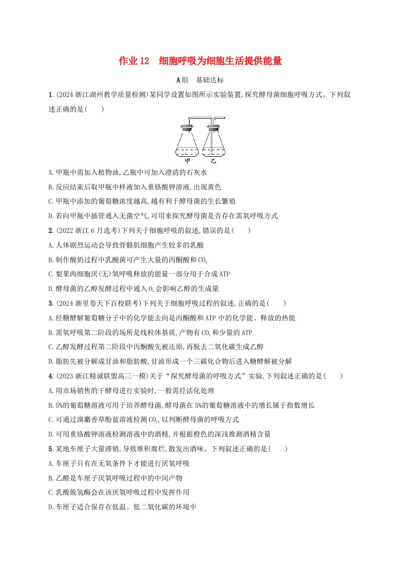 适用于新高考新教材浙江专版2025届高考生物一轮总复习第2单元细胞的代谢作业12细胞呼吸为细胞生活提供能量浙科版