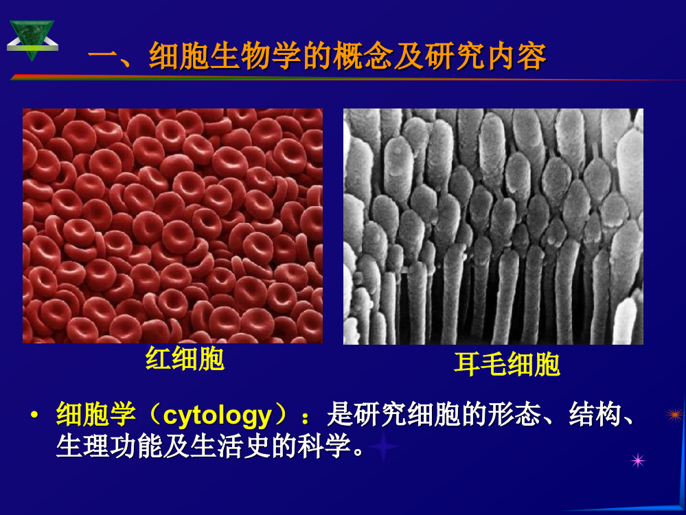 细胞绪论人民卫生出版社医学医药