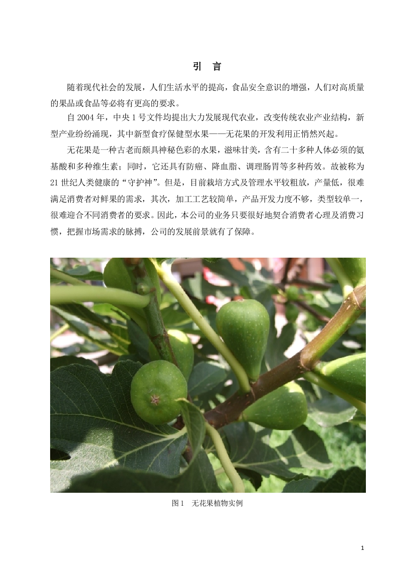 无花果项目商业计划书—-毕业论文设计