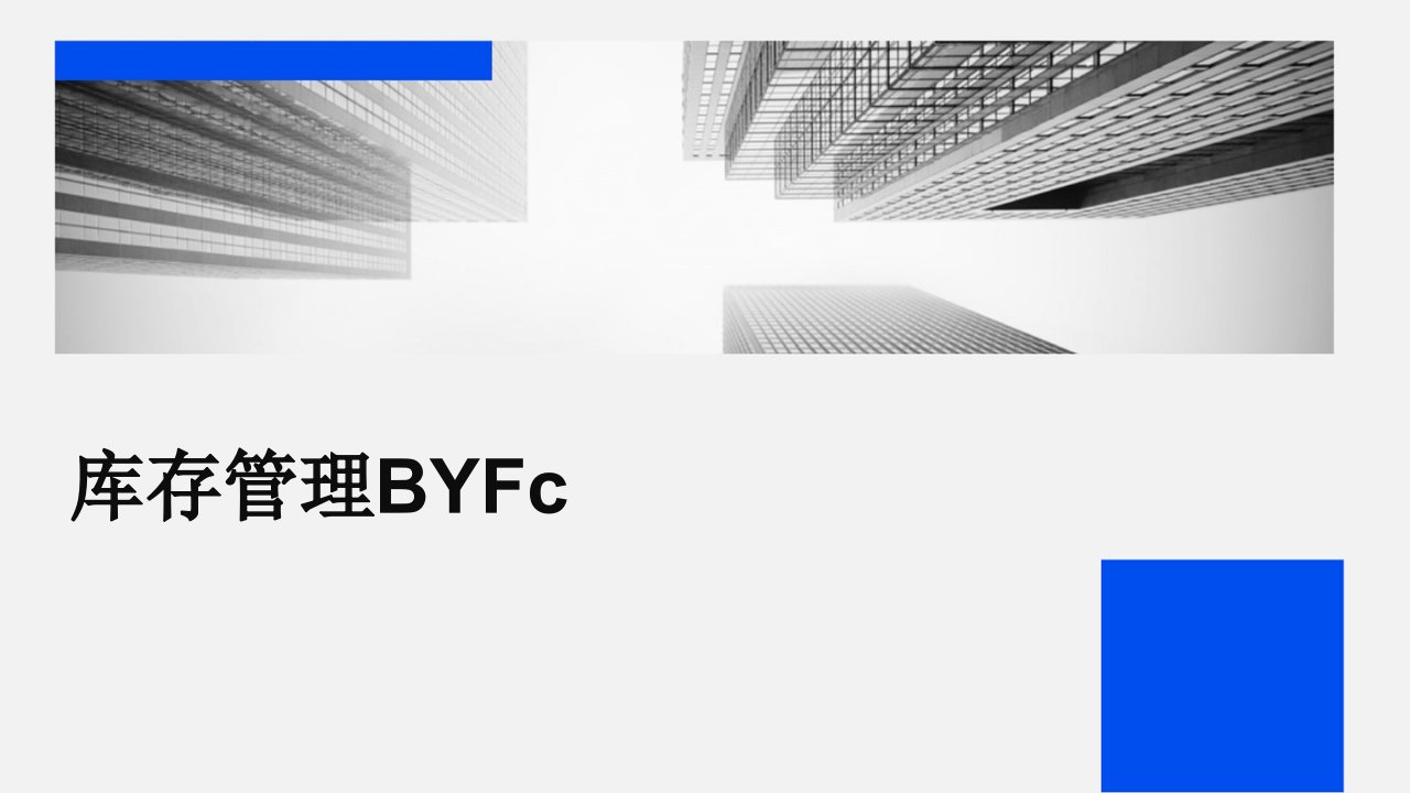 库存管理BYFc教学课件