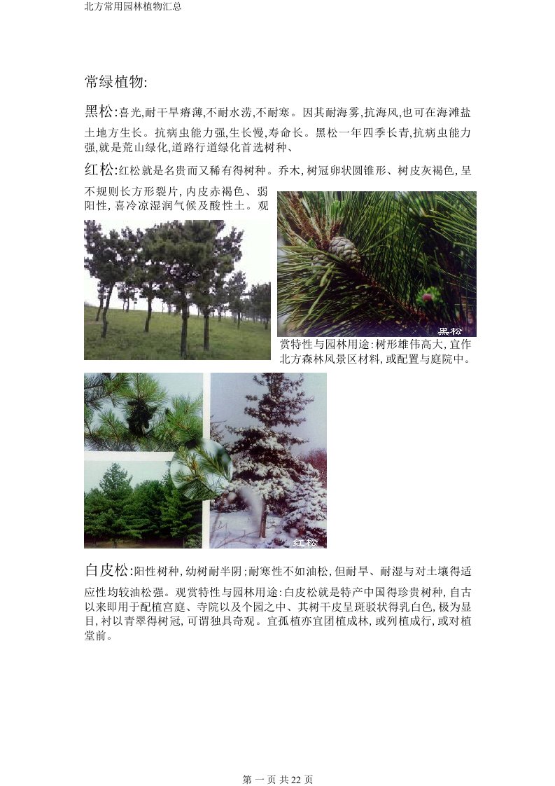 北方常用园林植物汇总