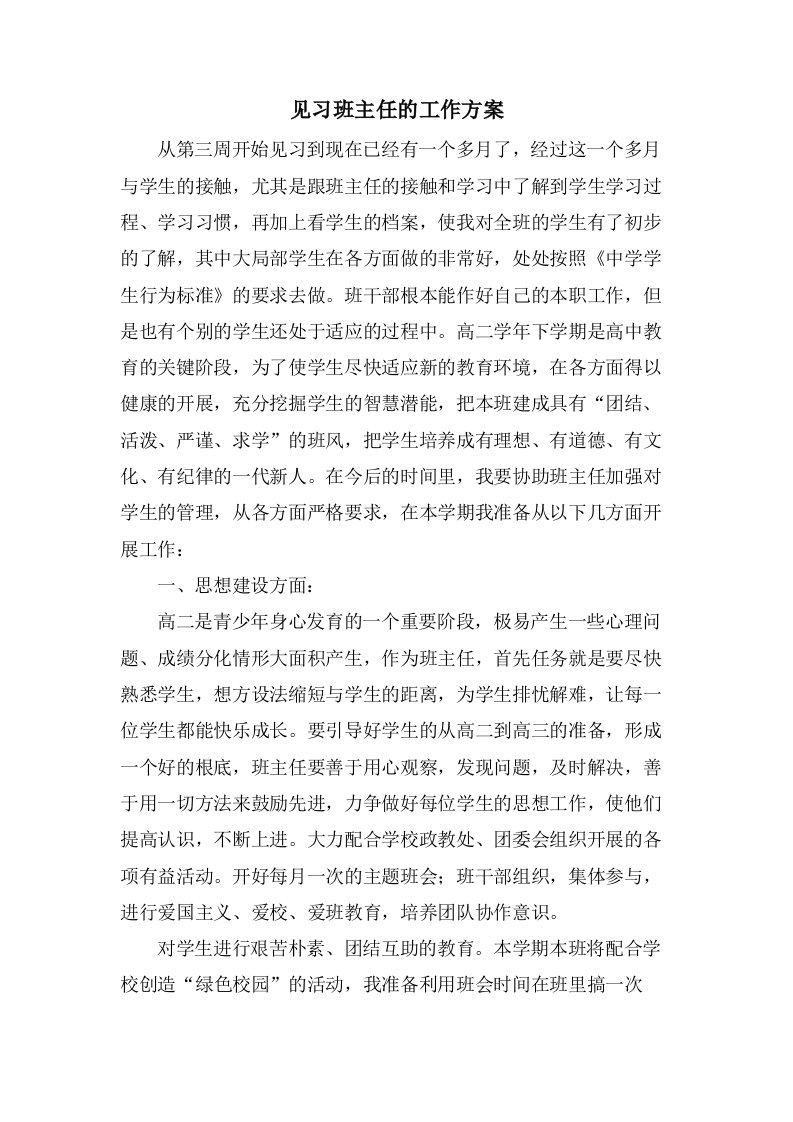 见习班主任的工作计划