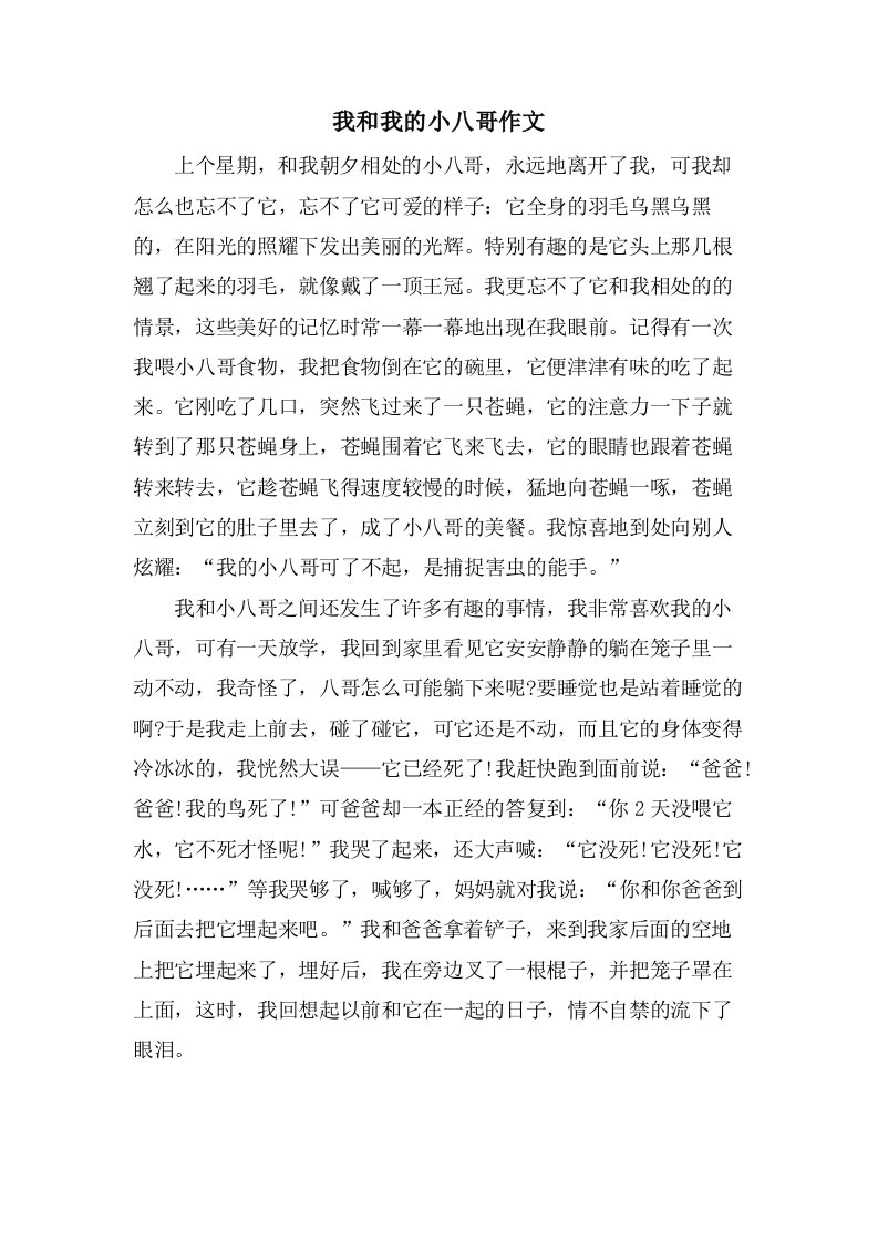 我和我的小八哥作文