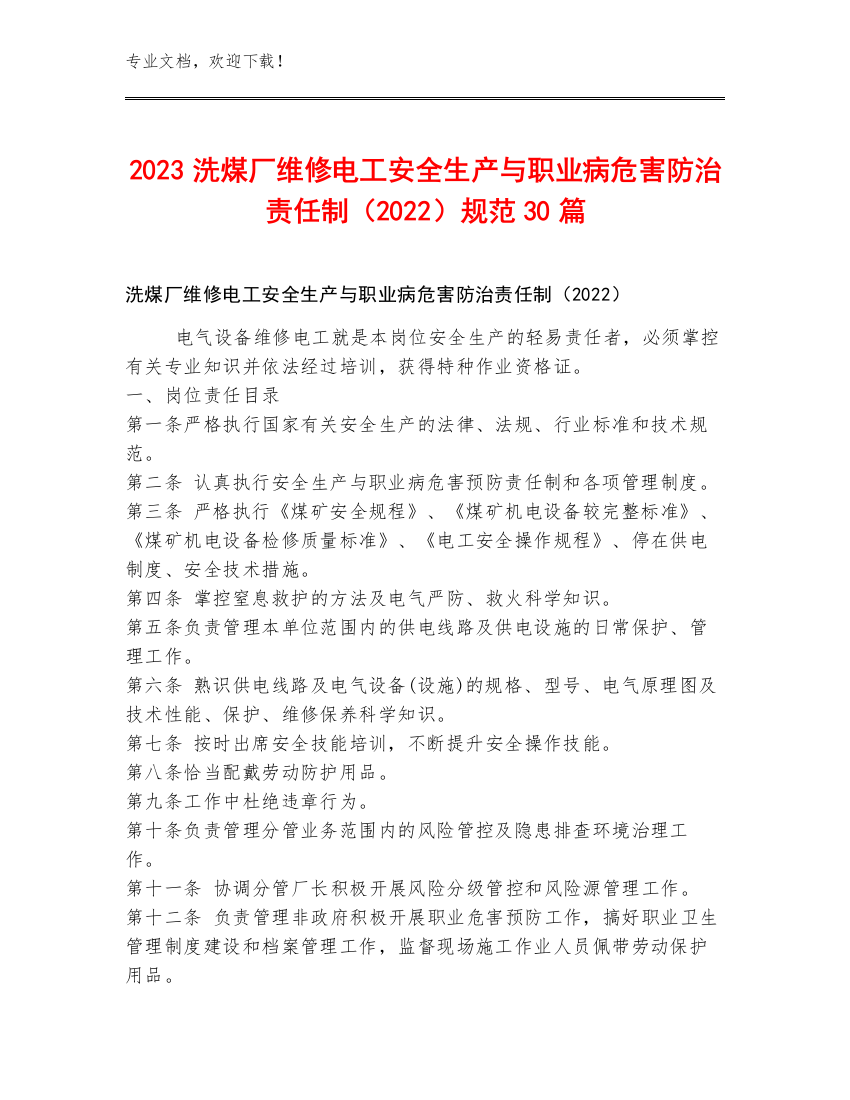 2023洗煤厂维修电工安全生产与职业病危害防治责任制（2022）规范30篇