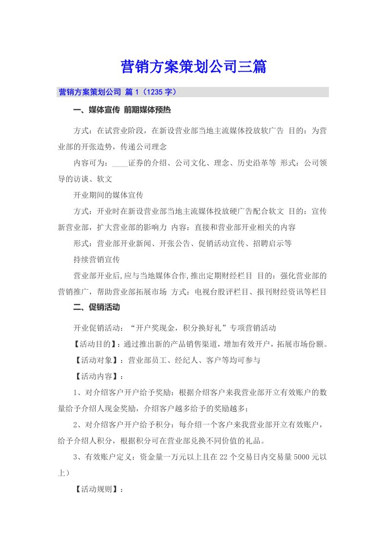 （可编辑）营销方案策划公司三篇