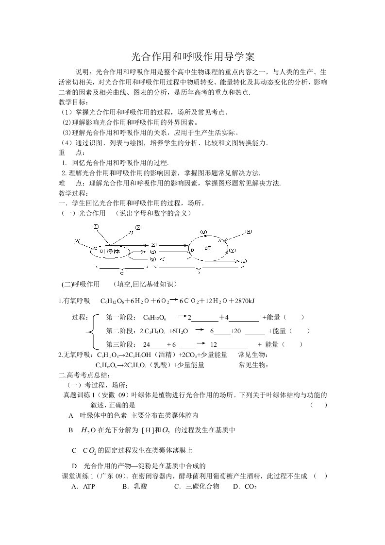 光合作用和呼吸作用导学案