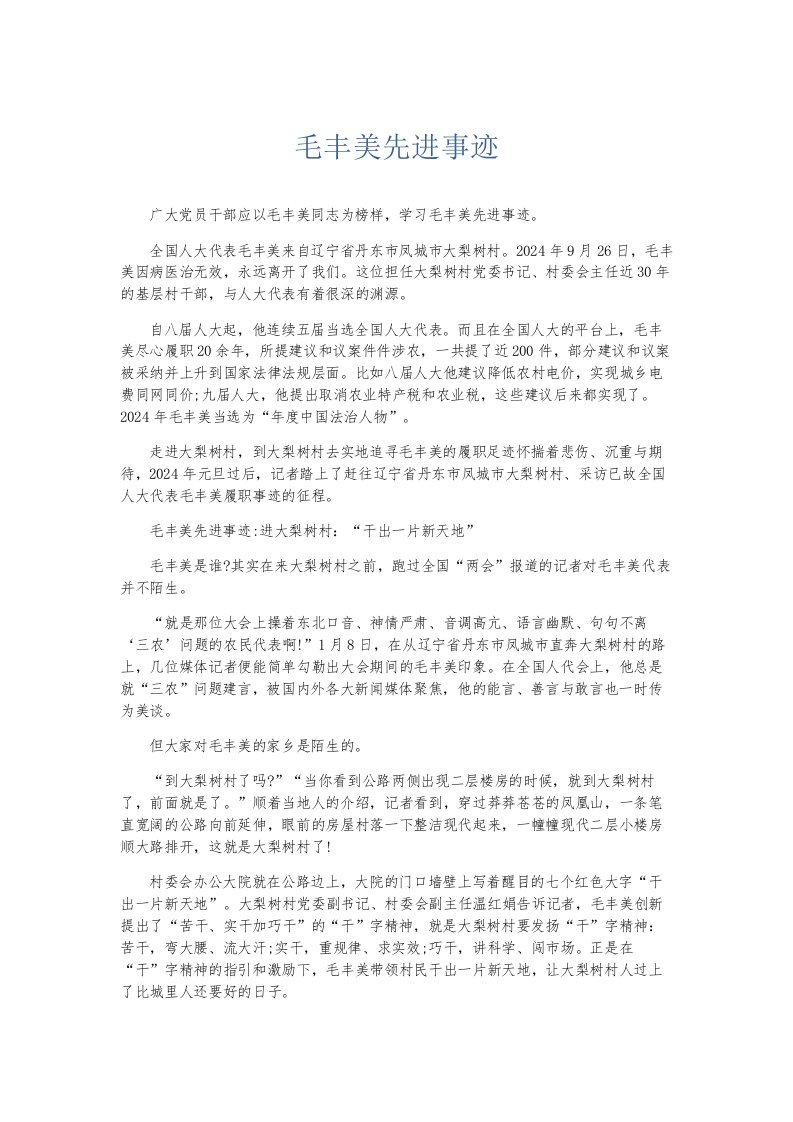 总结报告毛丰美先进事迹