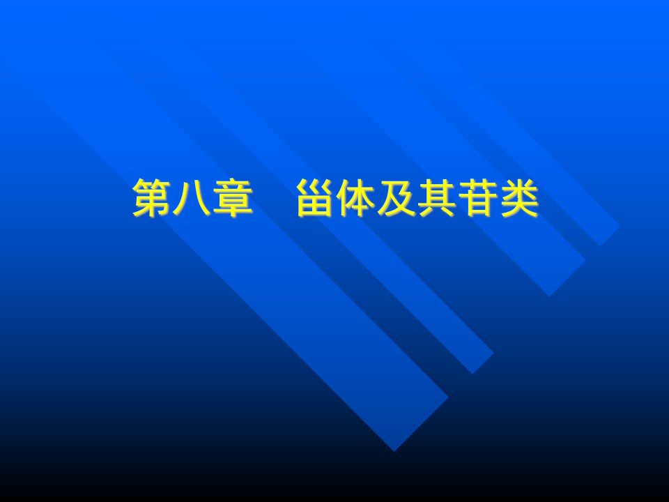 《dd甾体及其苷类》PPT课件