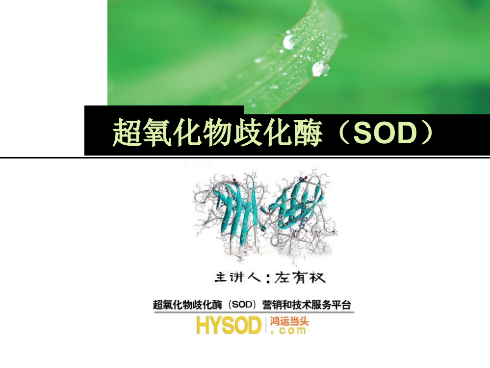 超氧化物歧化酶SOD专业知识1ppt课件