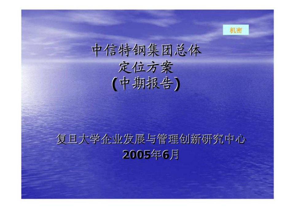 中信特钢集团总体定位方案(中期报告)