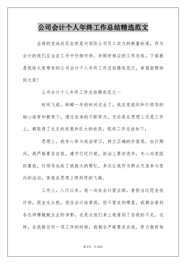 公司会计个人年终工作总结精选范文