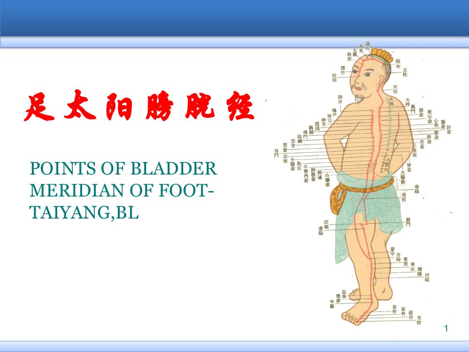 足太阳膀胱经医学PPT课件