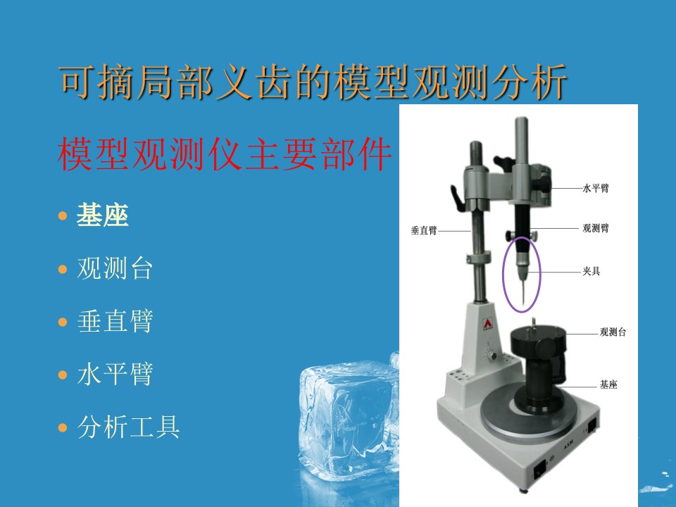 可摘局部义齿模型观测