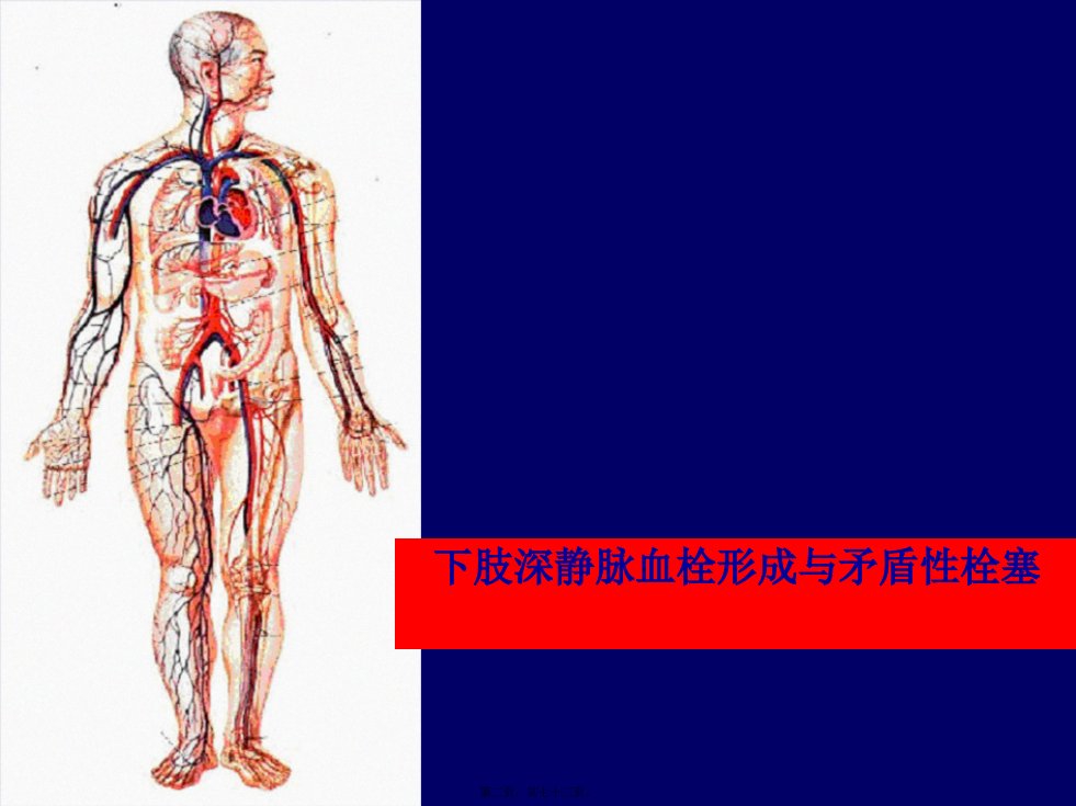 下肢静脉血栓详解