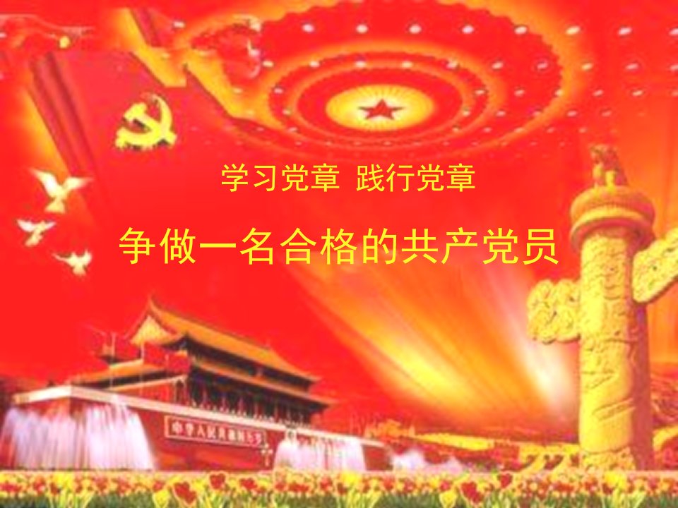 学习党章践行党章争做合格的共产党员党员党课课件