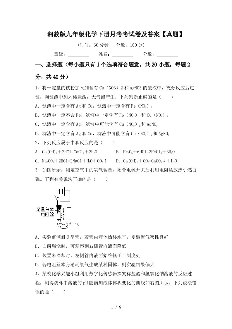 湘教版九年级化学下册月考考试卷及答案真题