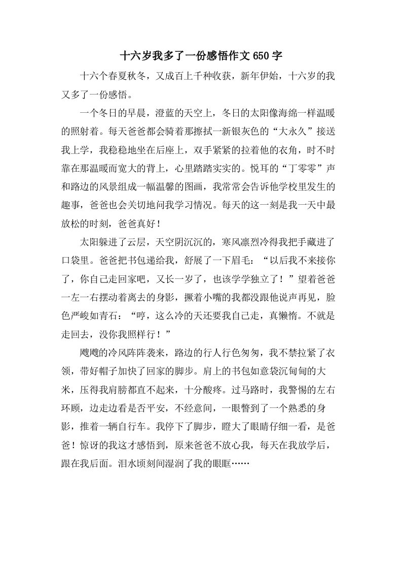 十六岁我多了一份感悟作文650字