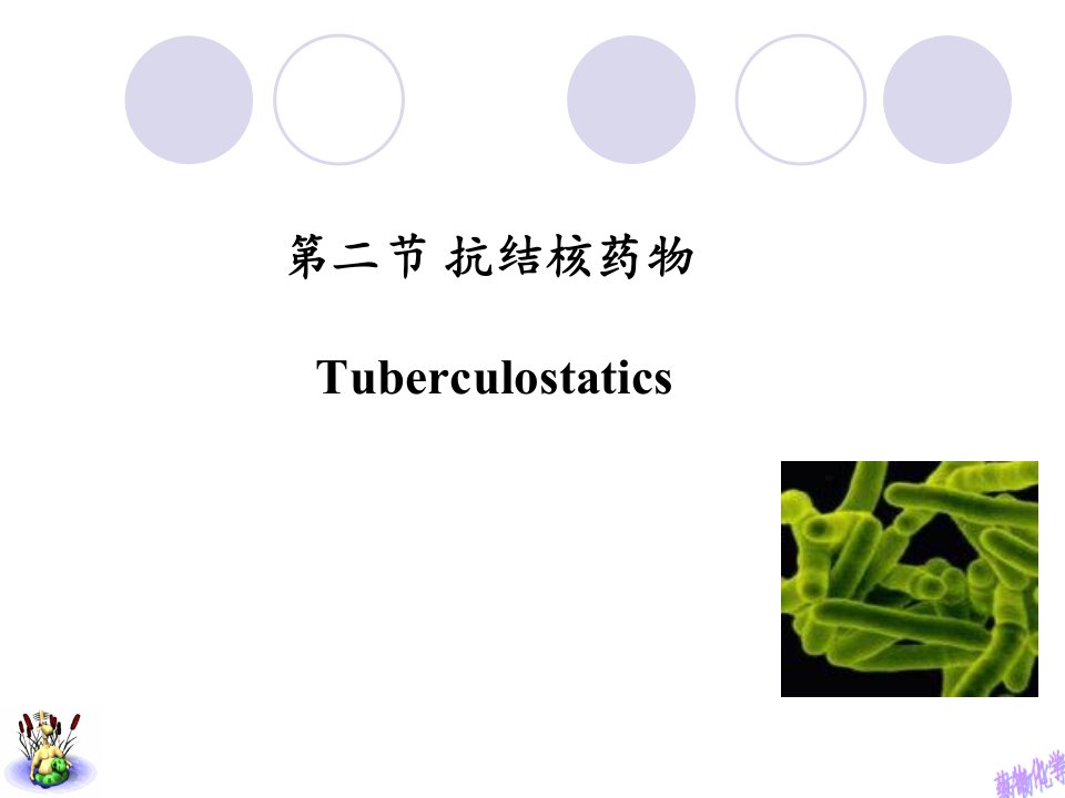 药物化学人卫版抗结核药物介绍