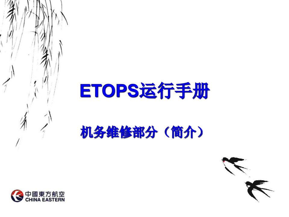 《ETOPS简介》PPT课件