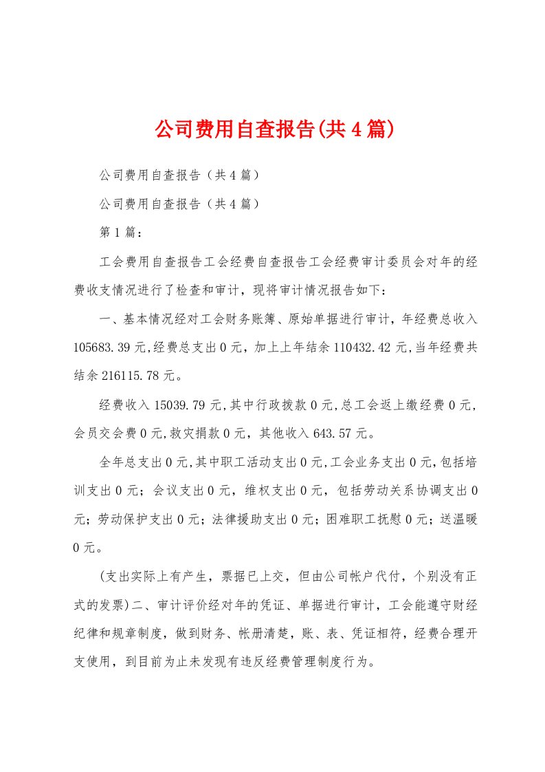 公司费用自查报告(共4篇)