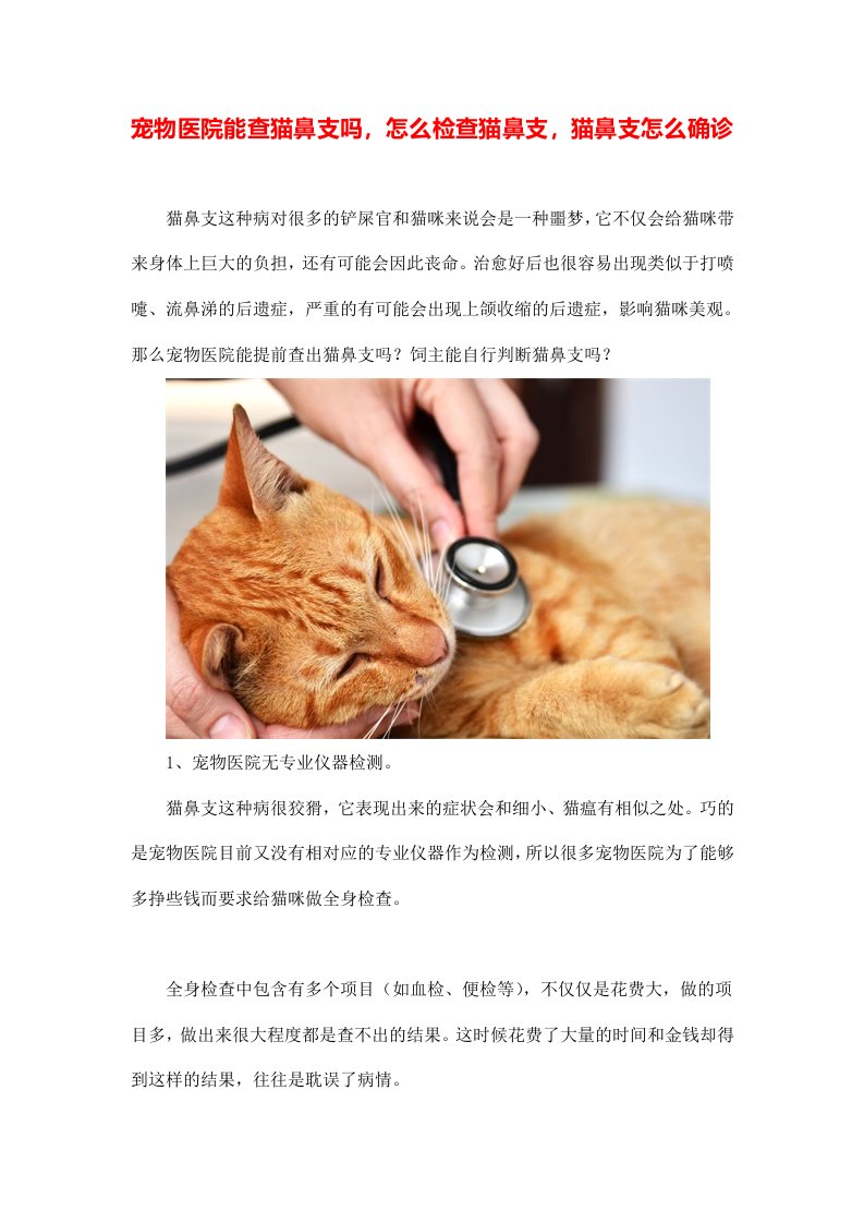 宠物医院能查猫鼻支吗怎么检查猫鼻支猫鼻支怎么确诊