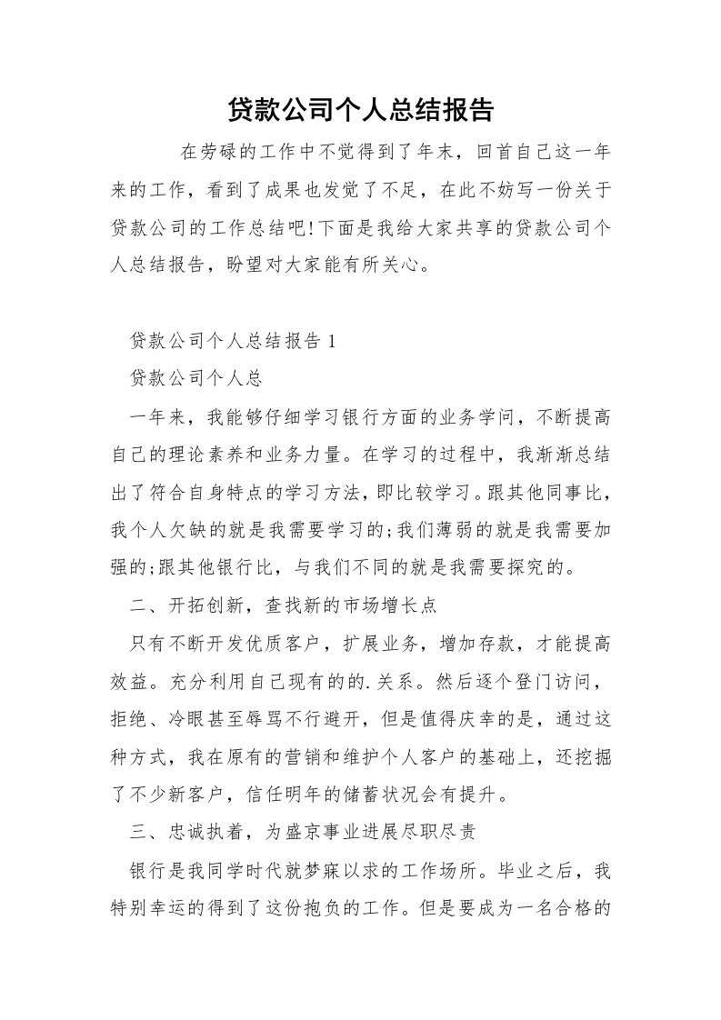 贷款公司个人总结报告