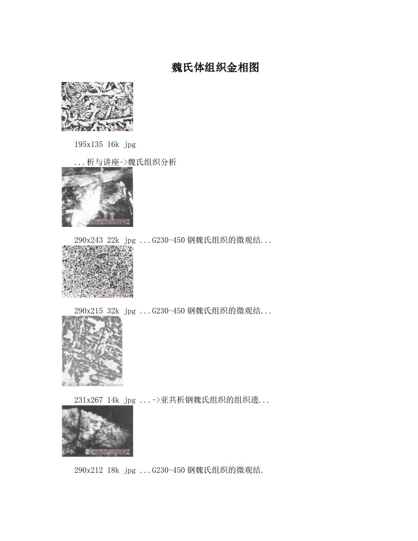 魏氏体组织金相图