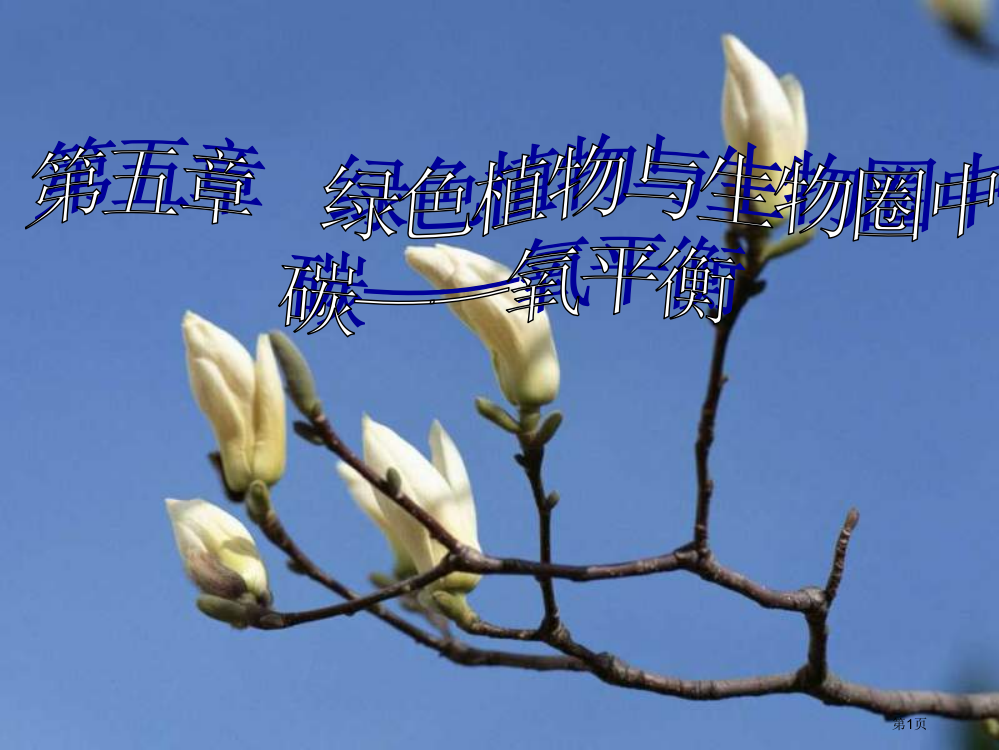 绿色植物与生物圈中的碳氧平衡省公共课一等奖全国赛课获奖课件