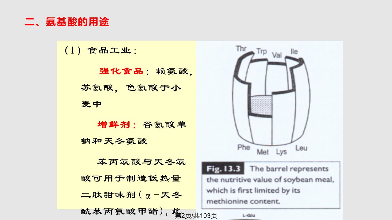 氨基酸与核酸发酵