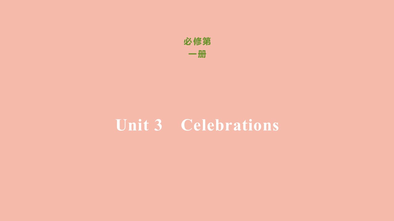 新教材高中英语Unit3CelebrationsLesson2SpecialOccasions刷题课件北师大版必修第一册