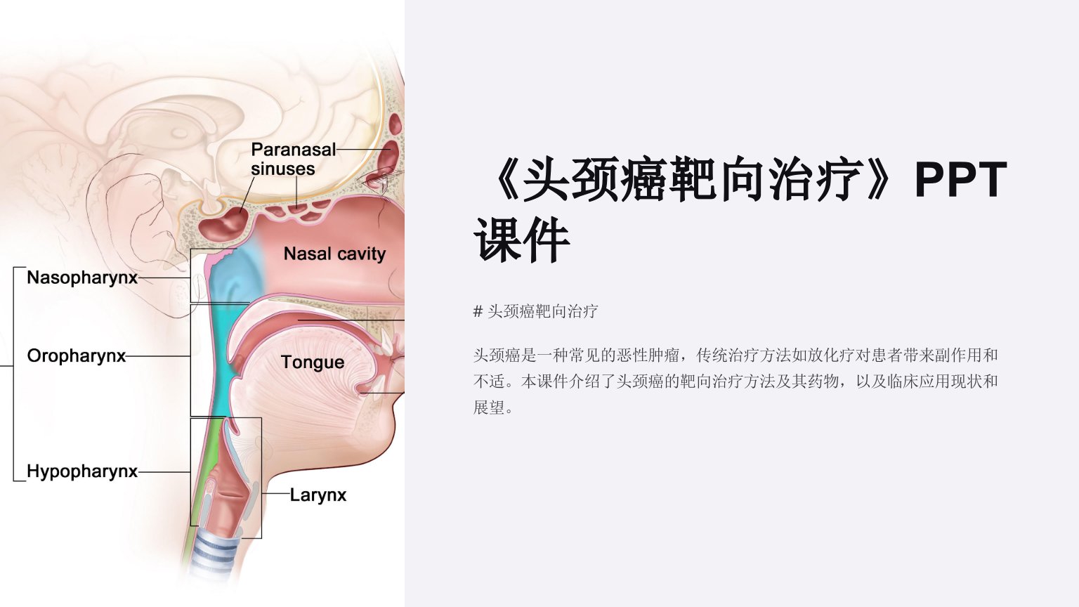 《头颈癌靶向治疗》课件