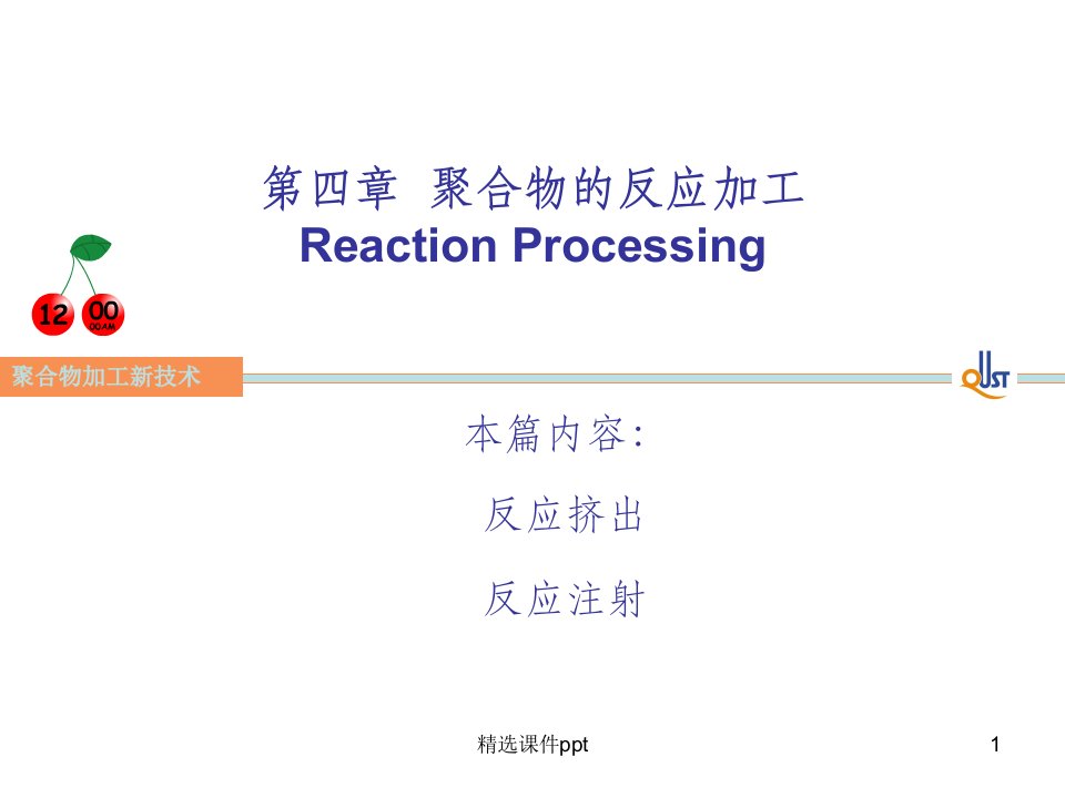 《聚合物的反应加工》PPT课件