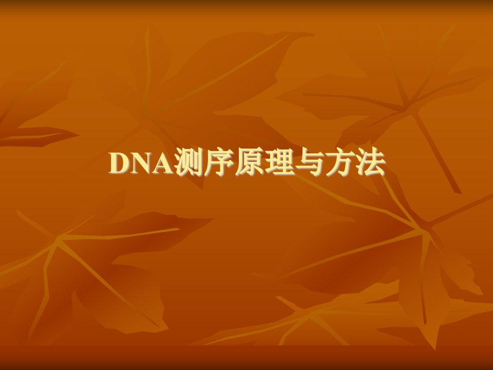 《DNA测序方法》PPT课件