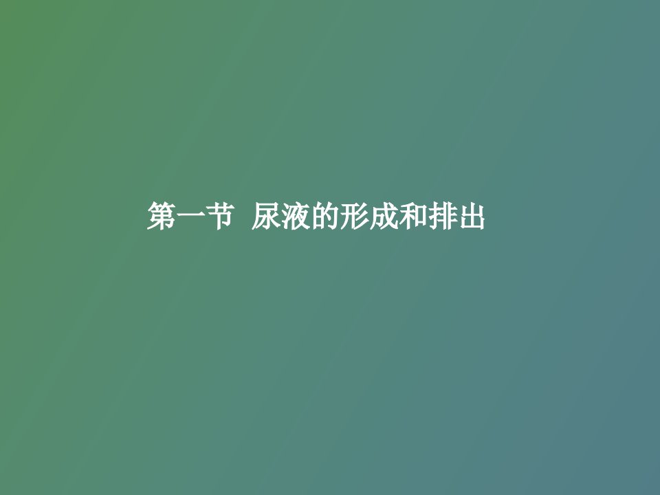 尿液的形成和排出