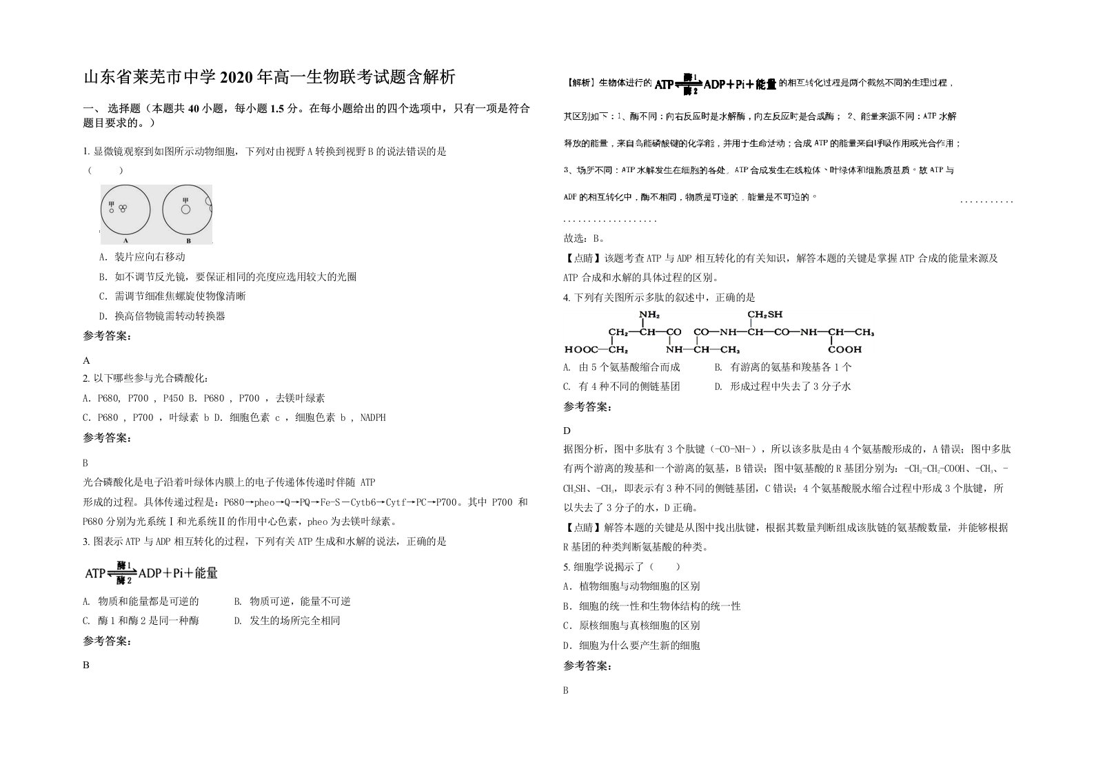 山东省莱芜市中学2020年高一生物联考试题含解析