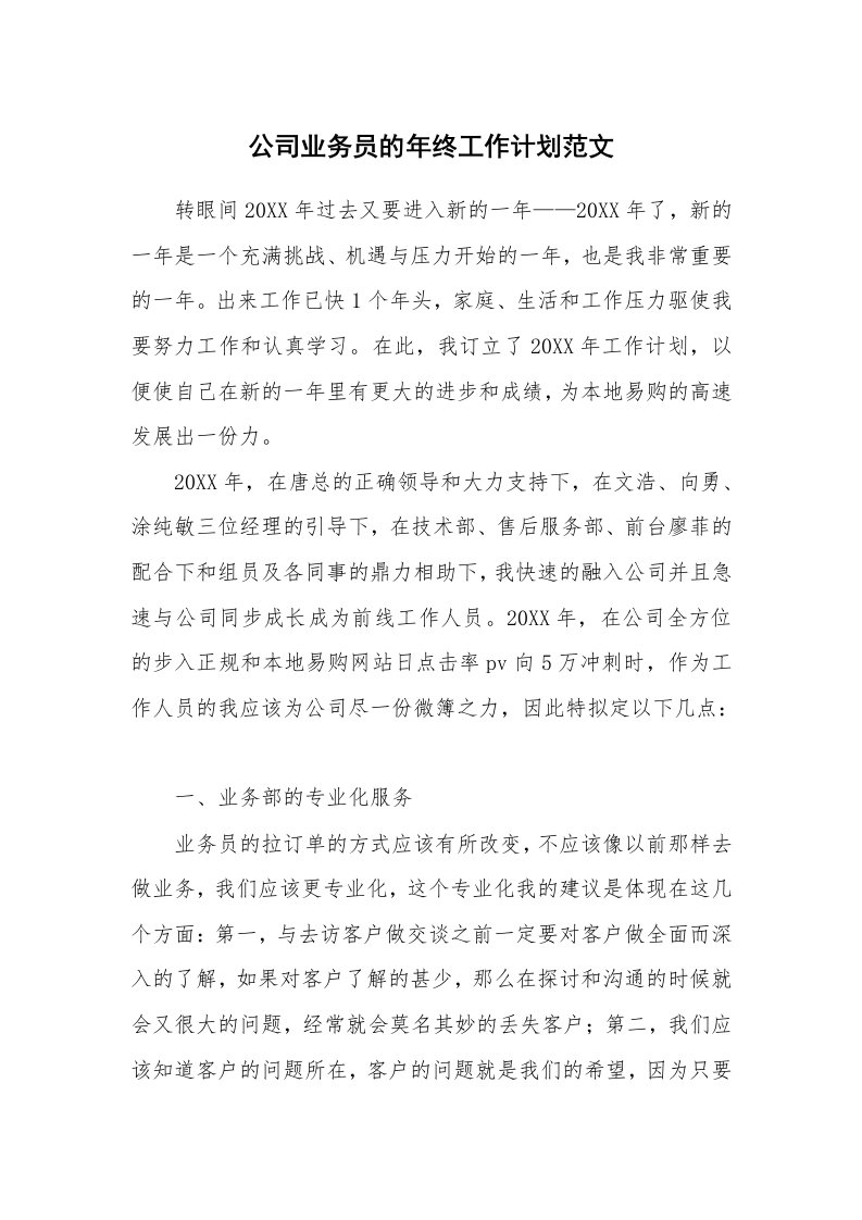 公司业务员的年终工作计划范文