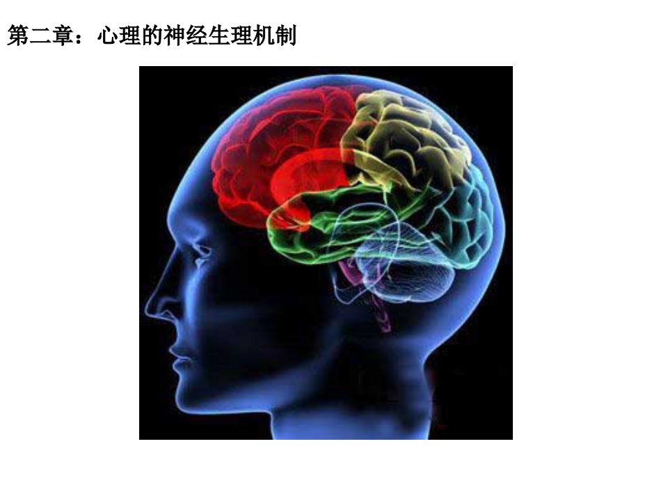 普通心理学心理的神经生理机制