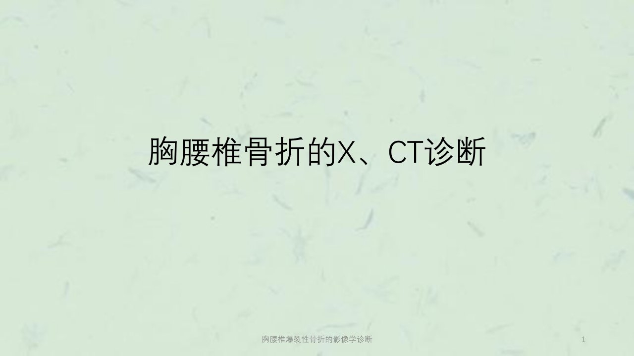 胸腰椎爆裂性骨折的影像学诊断ppt课件